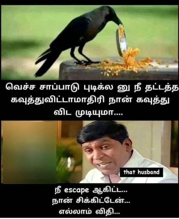 Funny memes collection on sunday 2022-11-13