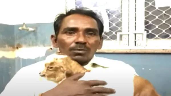  முத்த மழை 