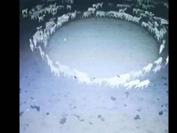 மாறி மாறி ரெஸ்ட்