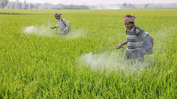 பயிர்க் காப்பீட்டுத்திட்டம் 