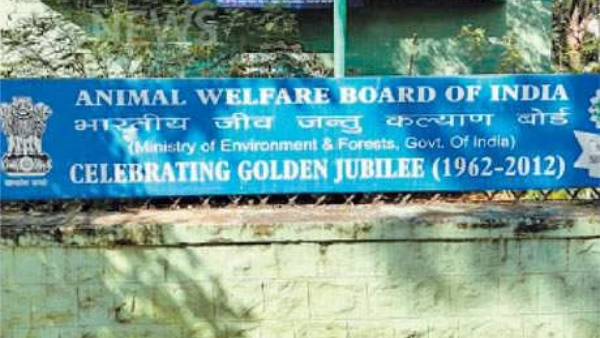 விலங்குகள் நல வாரியம் விலங்குகள் நல வாரியம்