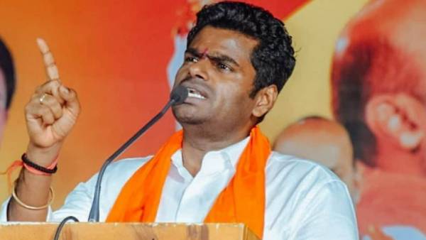உப்பு சப்பில்லாத அறிக்கை 