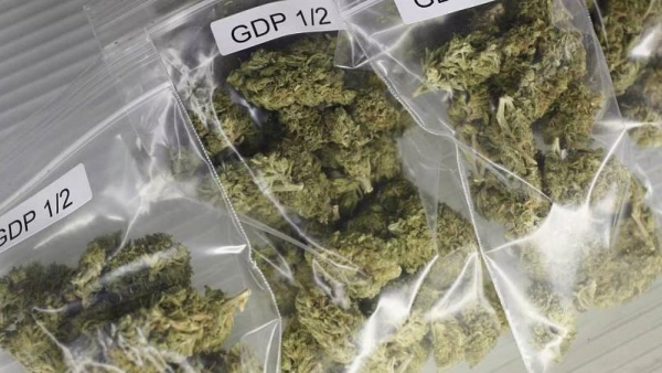 எல்லையில் கஞ்சா