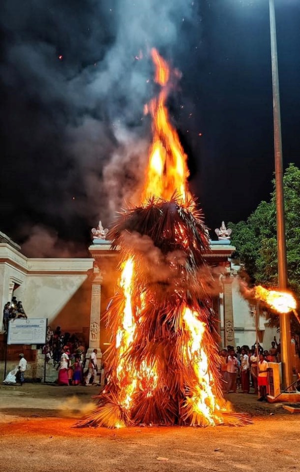 தேவ மரம் பனை தேவ மரம் பனை