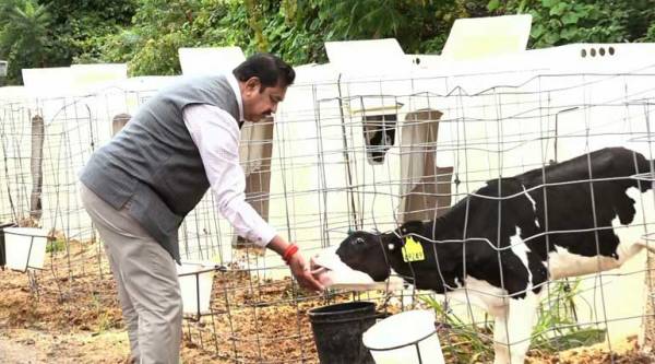 தடுப்பூசி இல்லை 