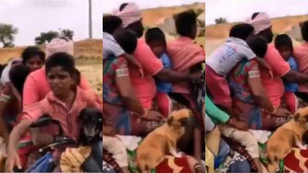 வாயில்லா ஜீவன்களை கூட 