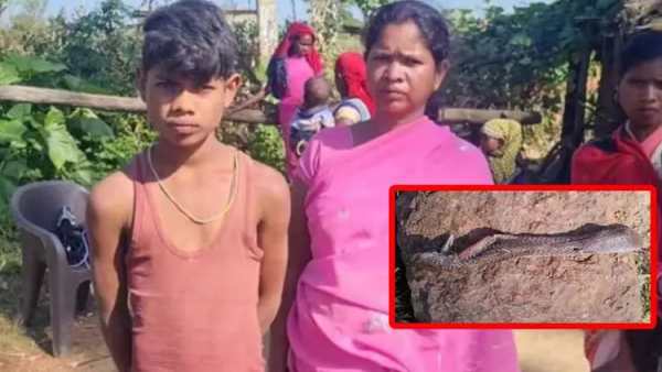 புரளிகள் 