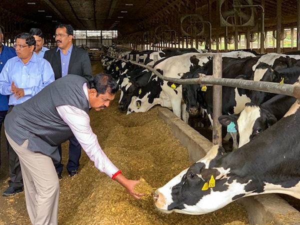  வலி -வேதனை 