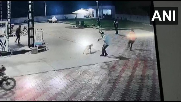 சாக்லேட்டுக்கு ஆசைப்பட்டு.. சாக்லேட்டுக்கு ஆசைப்பட்டு..