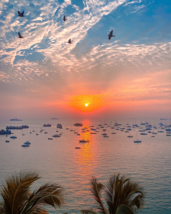 அருமையான புகைப்படம்