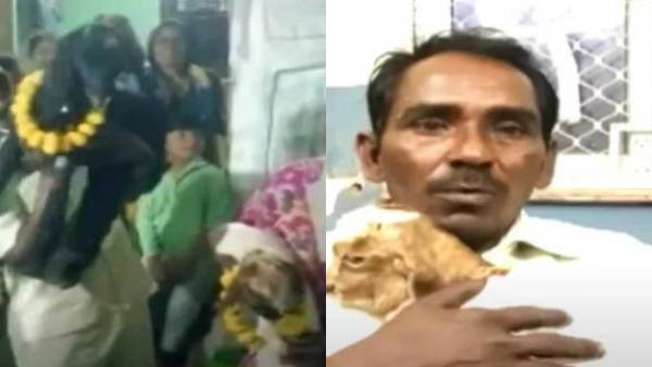  சிதறும் கோபம்