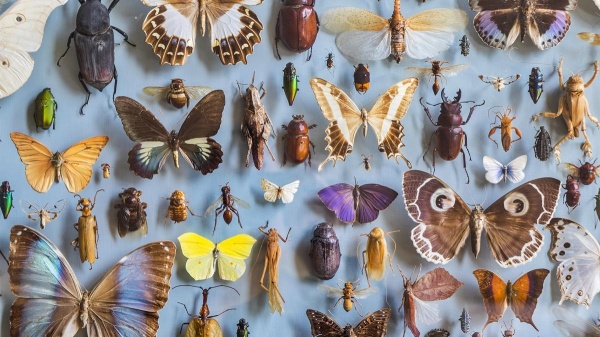 பெரும் அபாயத்தை எதிர்கொள்ளும் வாய்ப்பு