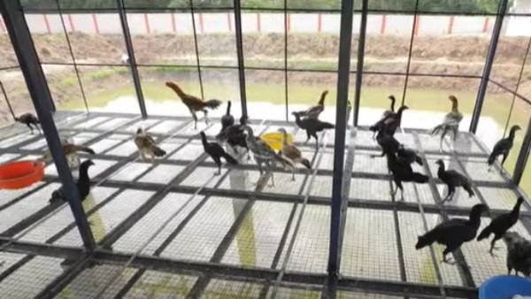  1000 ஏக்கர் இலக்கு; ஏக்கருக்கு ஒரு லட்சம் கணக்கு 