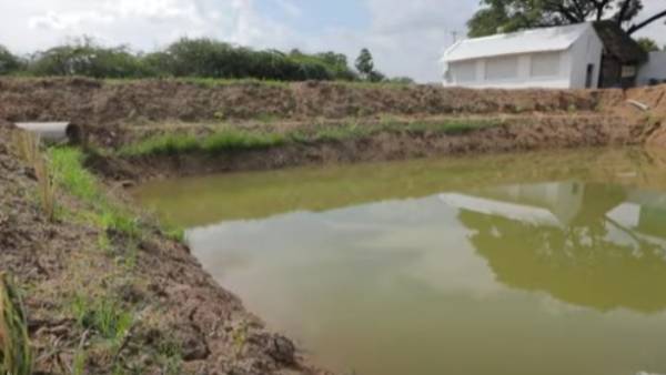 குப்பை மேடு டு ஒருங்கிணைந்த பண்ணை 