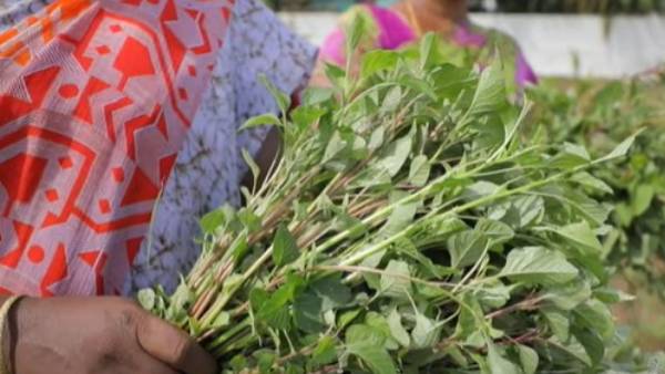  ஒரு மாதம்; ஒரு லட்சம் வருமானம் 