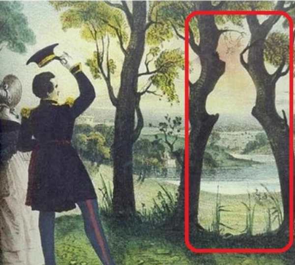 மரங்களுக்கு இடையே மட்டும் 