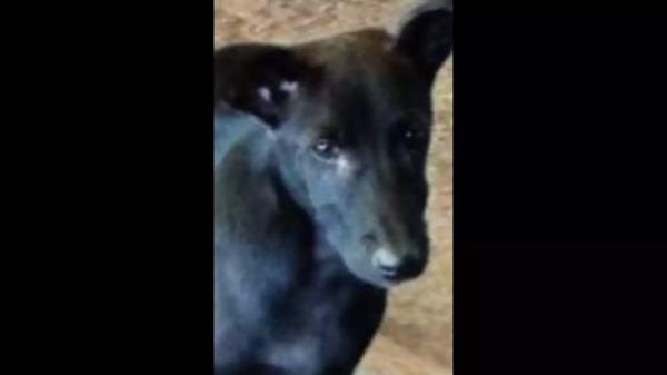 அன்றாட வாழ்க்கை