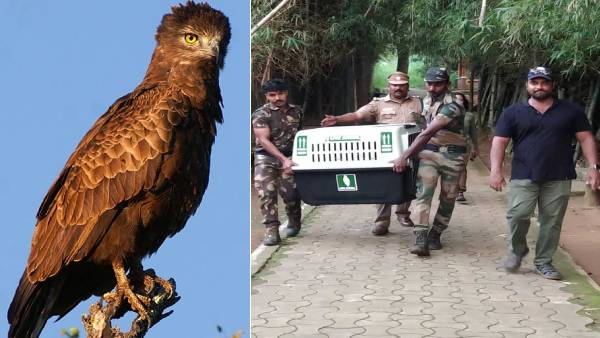 காற்றோட்ட வசதி 