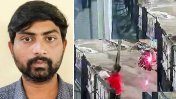  இரும்பு கேட் 