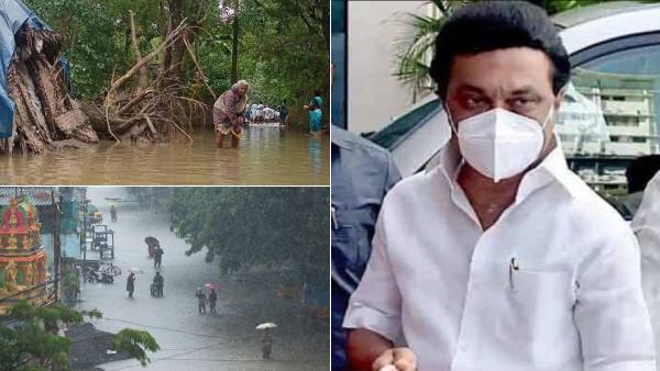 முதலமைச்சர் ஆய்வு 