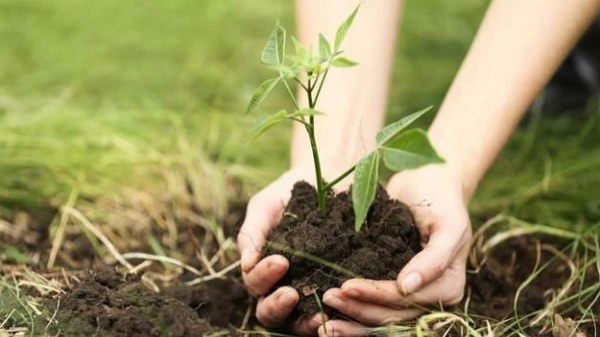 வெளிநாடுகளிலும் கூட 