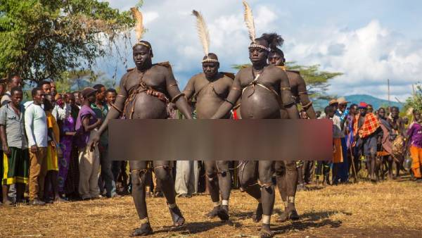 தொப்பை ஹீரோக்கள் தொப்பை ஹீரோக்கள்