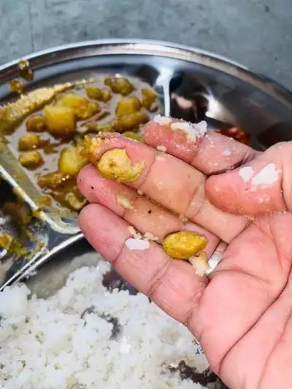 சாதத்தில் பூச்சிகள்.. சாதத்தில் பூச்சிகள்..