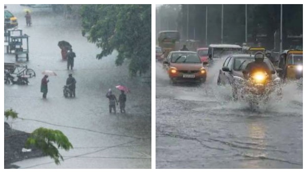 டெல்டா மாவட்டங்கள் 