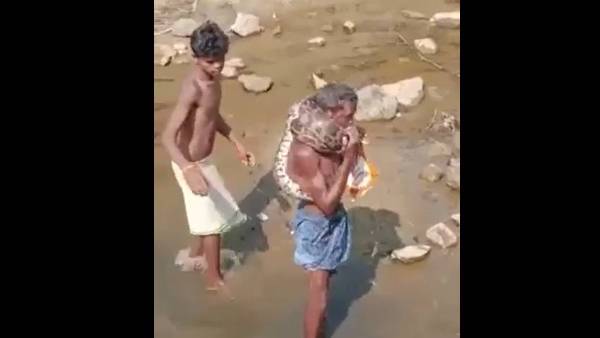 மதுபோதையில் பாம்பு