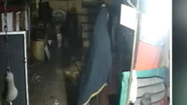 முயற்சி