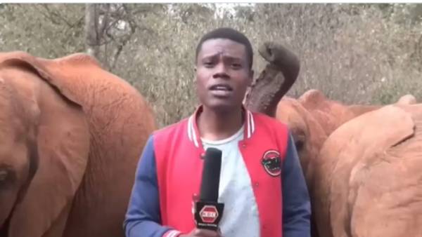 இணையத்தில் பரவும் வீடியோ