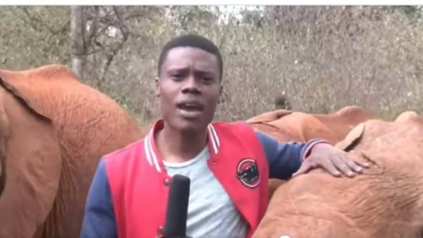 யானைக்கூட்டங்களுக்கு மத்தியில்..