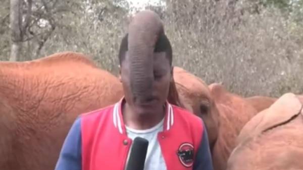 முகத்தில் தும்பிக்கையை போட்டு..