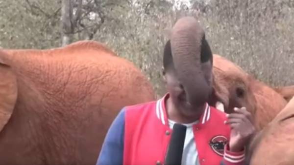 மனதை ரசிக்கும் வகையில்..