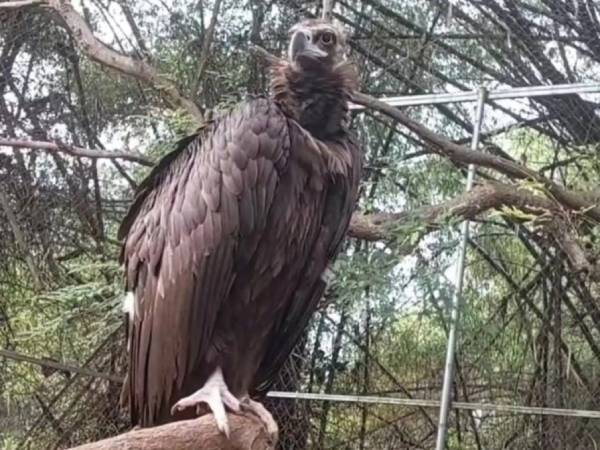 ஓக்கி புயல் 