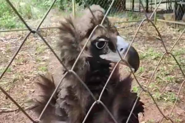 2600 கி.மீ. தொலைவு 