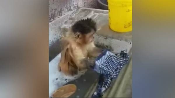 ரசிகர் பட்டாளம் ரசிகர் பட்டாளம்