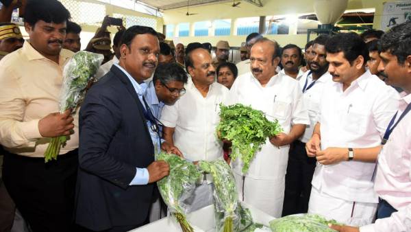 முருங்கை உற்பத்தி 