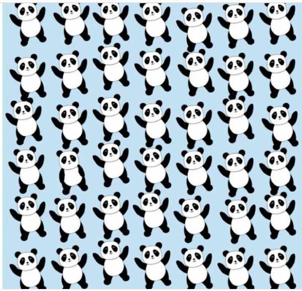 எங்கே இருக்கிறது? 