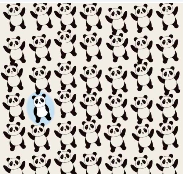 கைகளை மட்டும் கவனியுங்கள் 