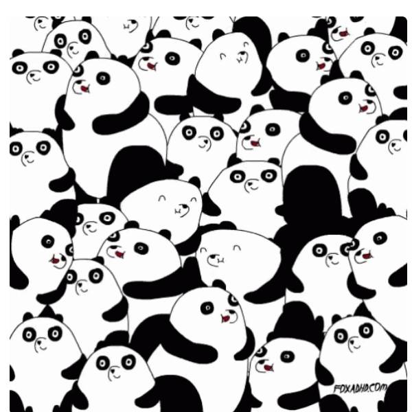 வித்தியாசமாக ஒரு பாண்டா கரடி 