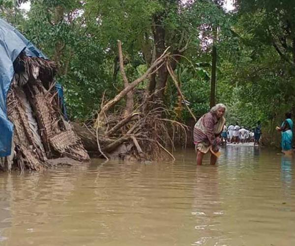 விளை நிலங்கள் 