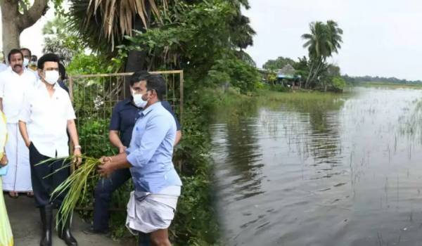 விவசாயிகள் வேதனை 