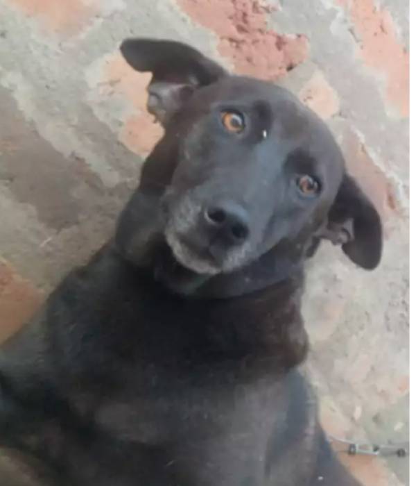 வீடு திரும்பவில்லை