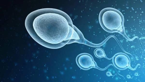 குடும்பத் தகராறு குடும்பத் தகராறு