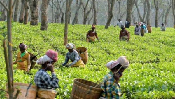 677 பேருக்கு வீடுகள் 