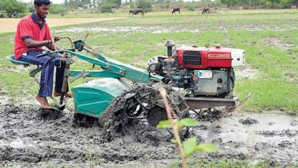 80 சதவிகித மானியம் 80 சதவிகித மானியம்