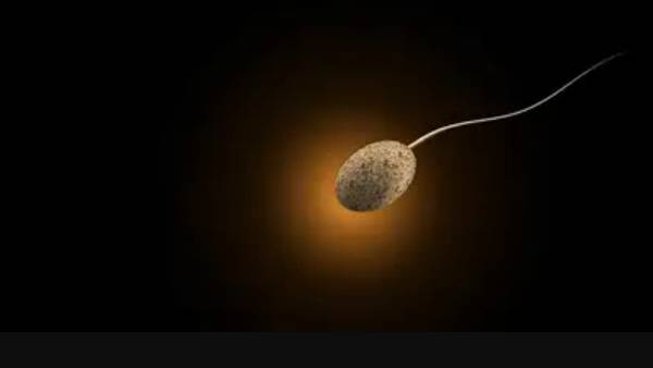  விந்தணு எண்ணிக்கை