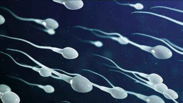 இந்தியா