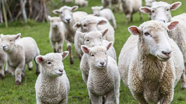  பித்து பிடித்தாச்சு